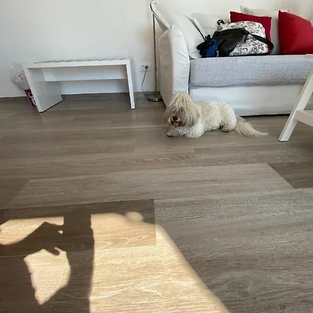 Pearl Of Adriatic דירה *